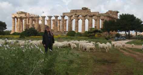 Selinunte tempel van Hera